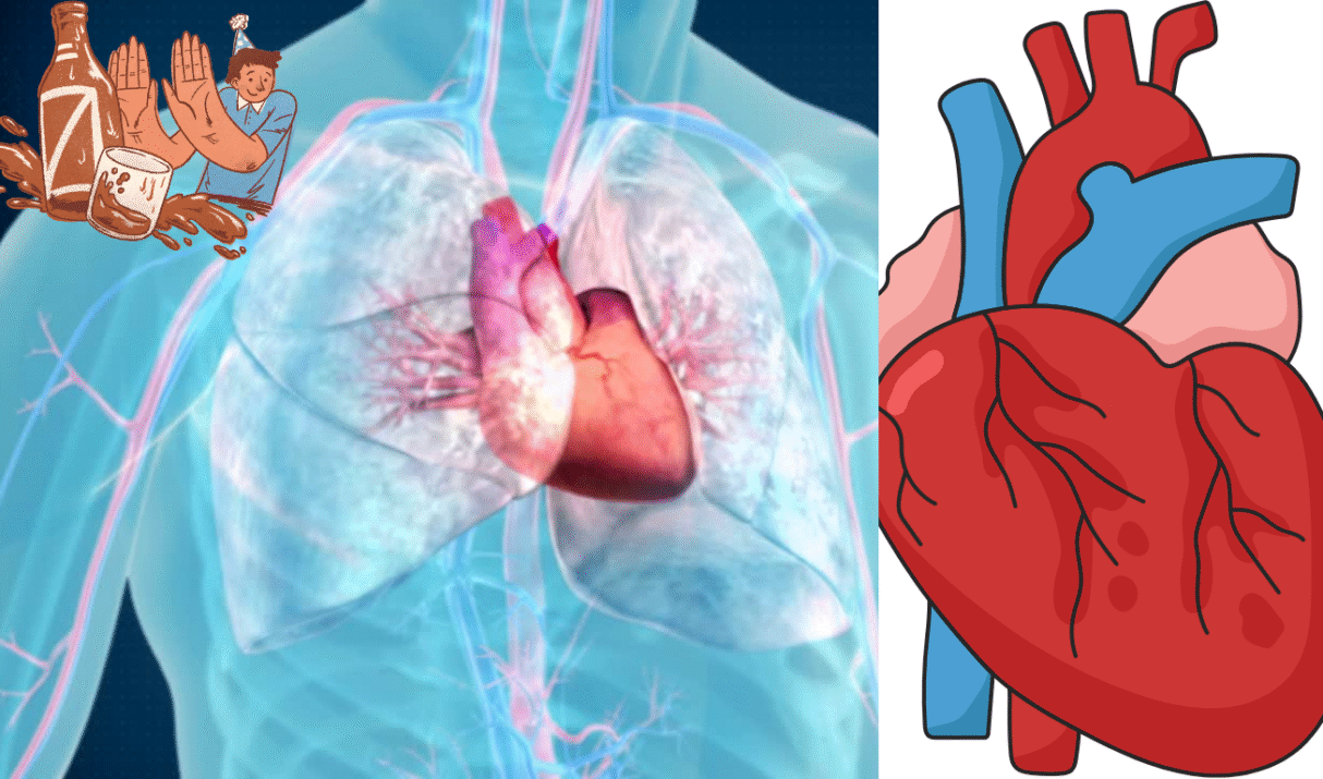 From Damage to Recovery: Alcohol and Cardiovascular Healing