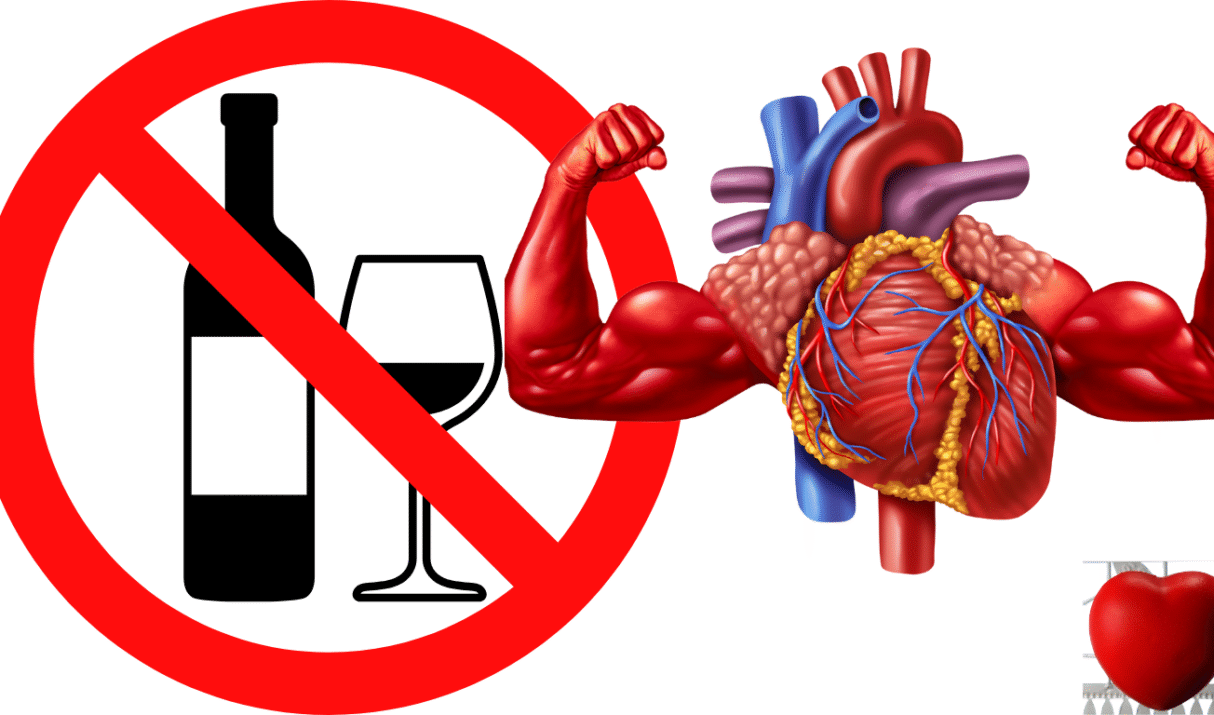 Healthy Heart, Alcohol-Free: The Science Behind Sobriety