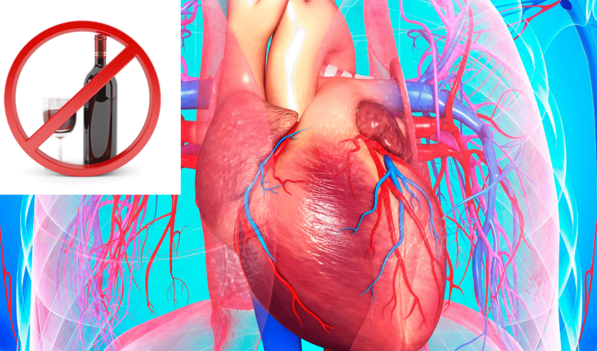 Wine abstinence and cardiovascular protection